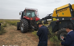 2019年，內(nèi)蒙奈吉牧草有限公司，采購一臺Anderson檸條平茬機(jī)